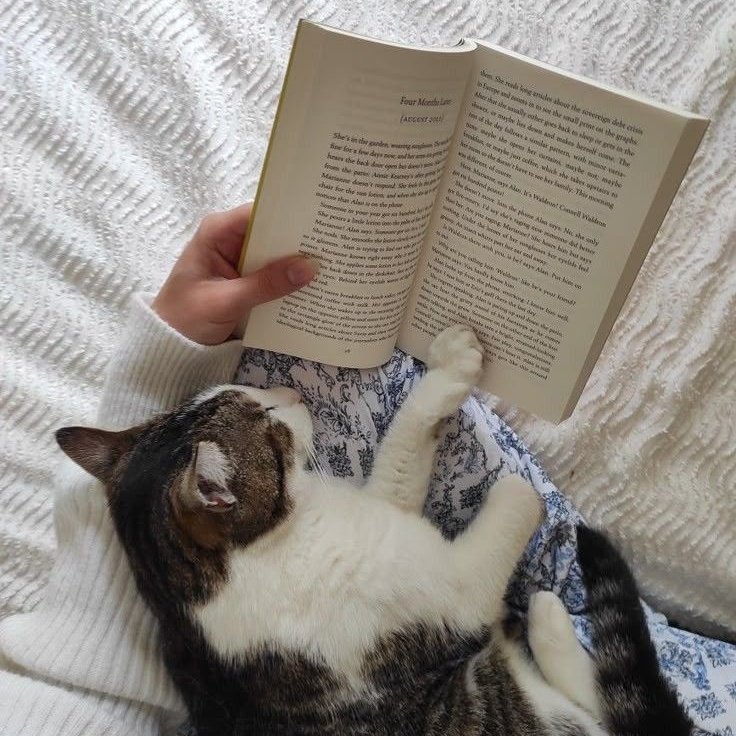 fosccel's tweet image. Not new to #booktwt, but looking for interactive mutuals!

⤷ She/her, 21
⤷ Litfic, historical fiction, trying to get into more genres
⤷ All Quiet on the Western Front, The Notebook Trilogy (...)
⤷ Currently reading: Life and Fate by Vasily Grossman