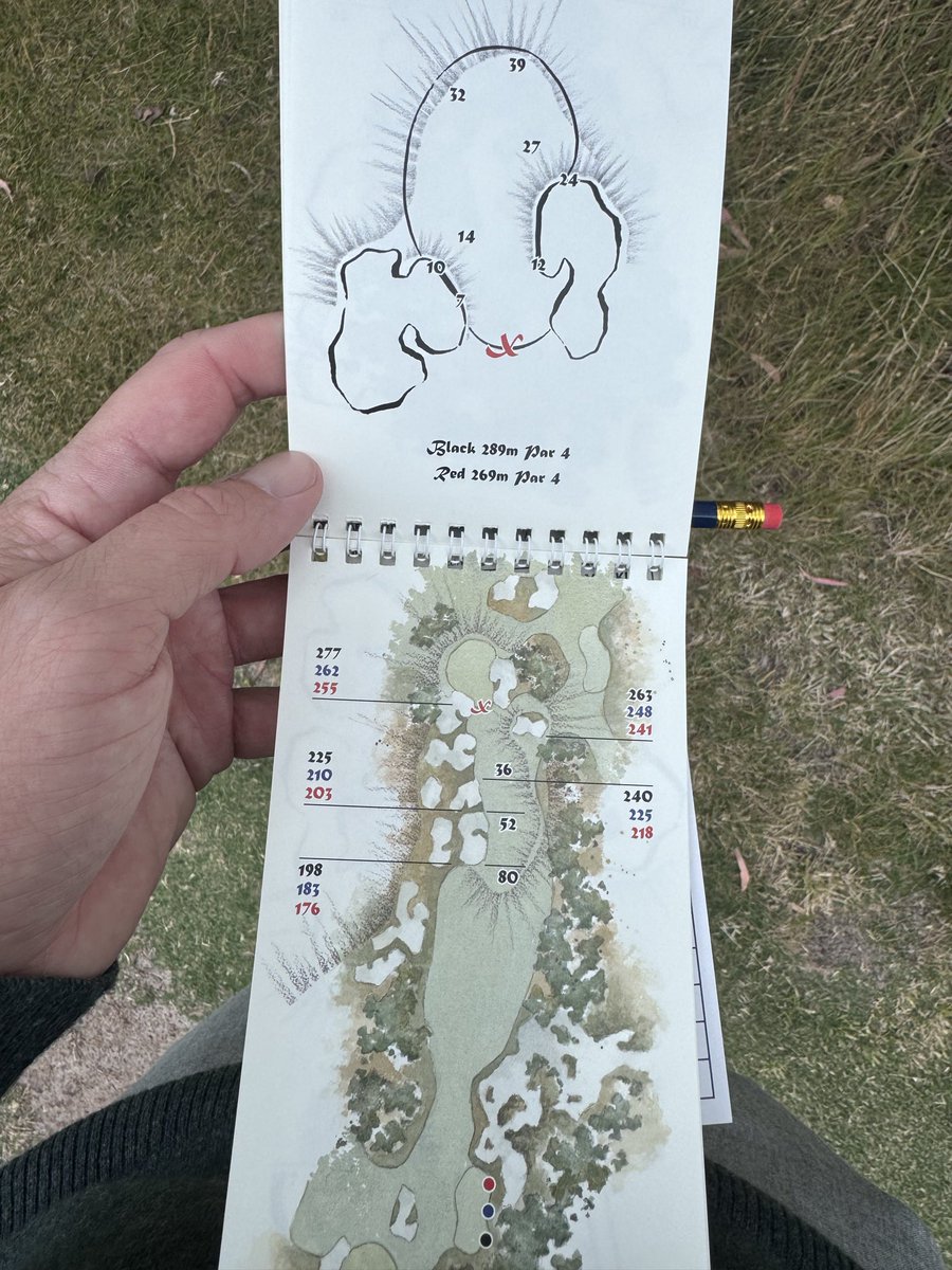 Tee-k Kelly tweet media