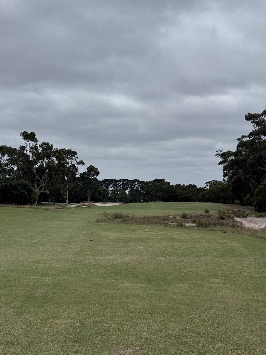 Tee-k Kelly tweet media