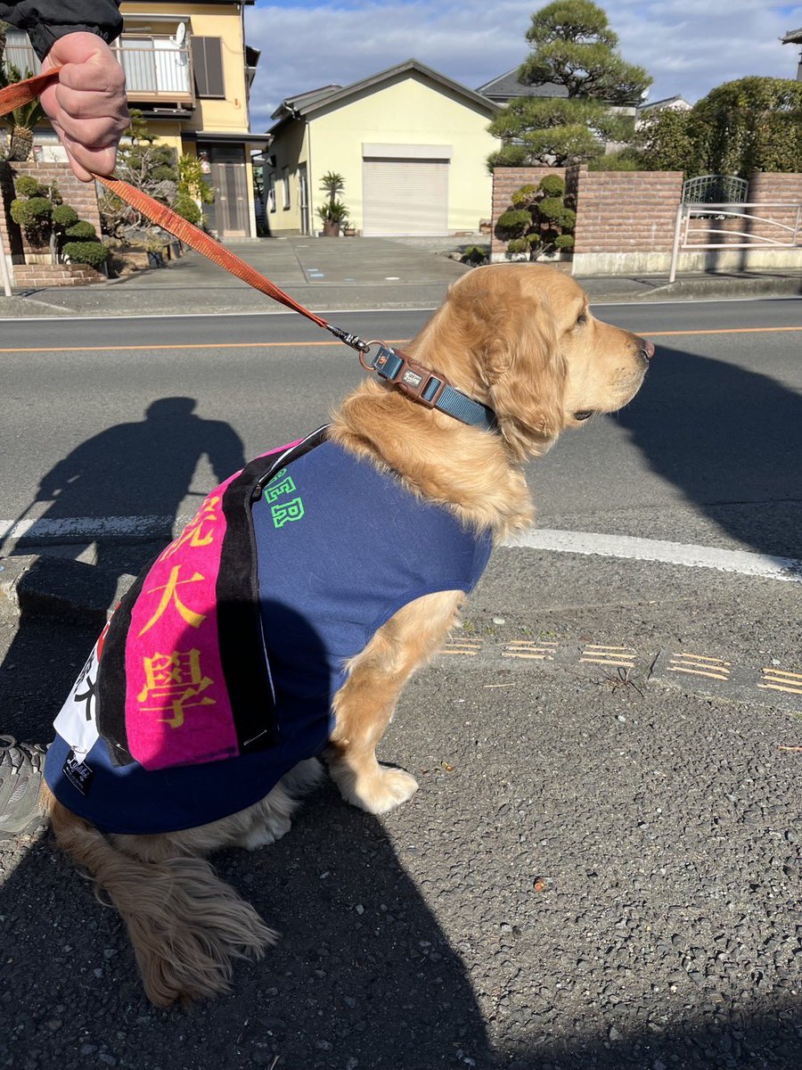 マフラータオルがかっこいいぜ😎 というか、私とおそろいじゃん🥰🥰