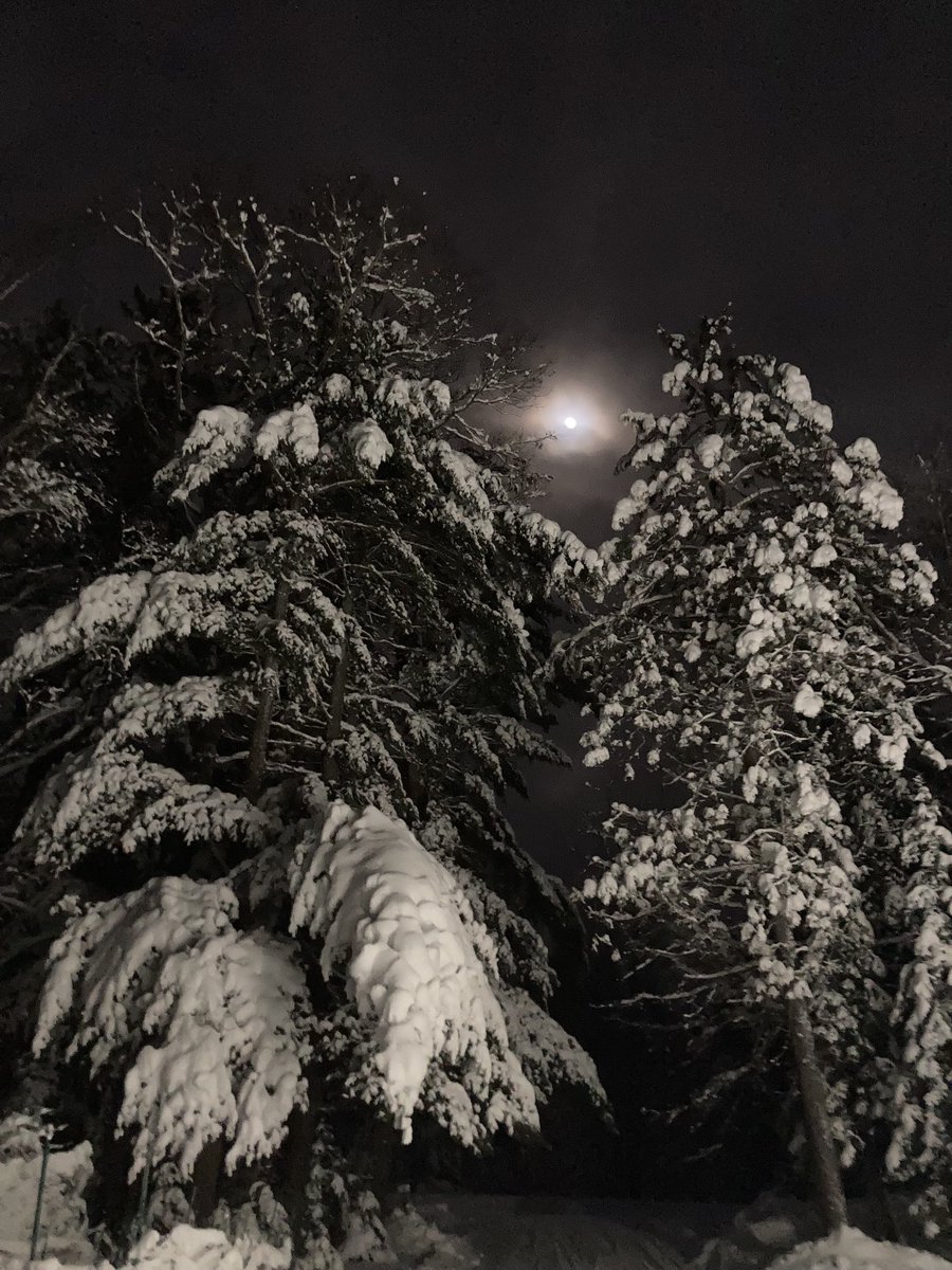 GKC155's tweet photo. Moonrise in the northwoods https://t.co/GdA33TBBlo