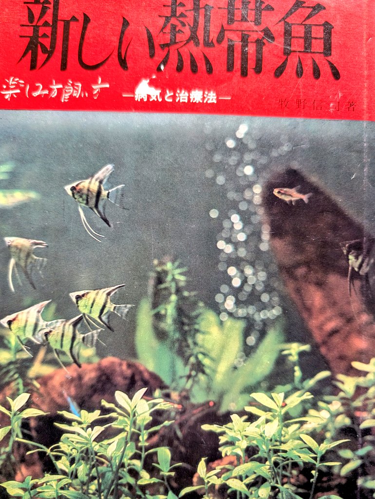 昭和時代から平成初期の熱帯魚、爬虫類・両生類、飼い鳥、小動物等や