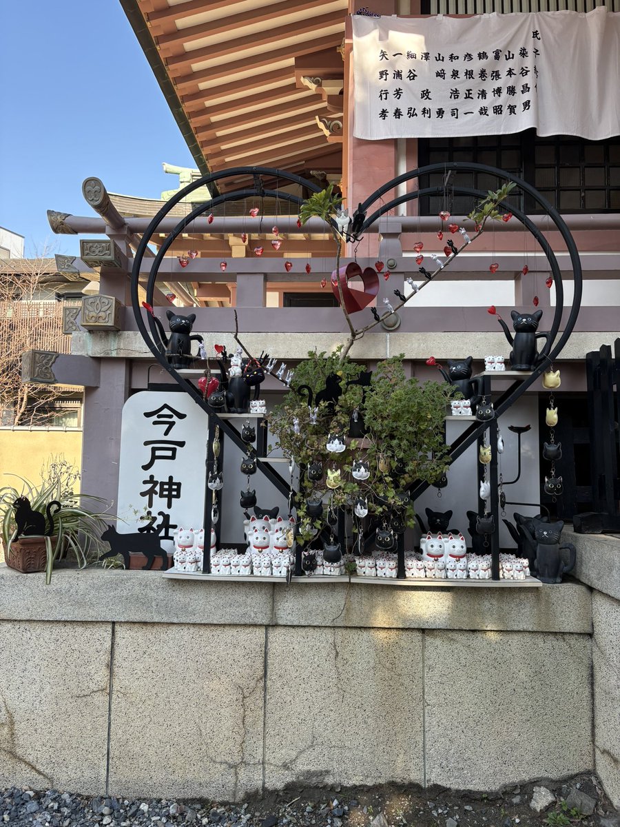 _Rainbow_sakura's tweet photo. 遅くなりましたが💦

🎍明けまして
おめでとう御座います🎍

本年も宜しくお願い致します✨

みな様からの
沢山のいいね
暖かいリプ返など
#有難うございました

チビ太共々
#本当に励まされました

メニエールの症状で
携帯の画面を
長時間見る事が出来ず

リプのお返し
まだ出来ておらず
すみません https://t.co/5Kj4xpqQeq