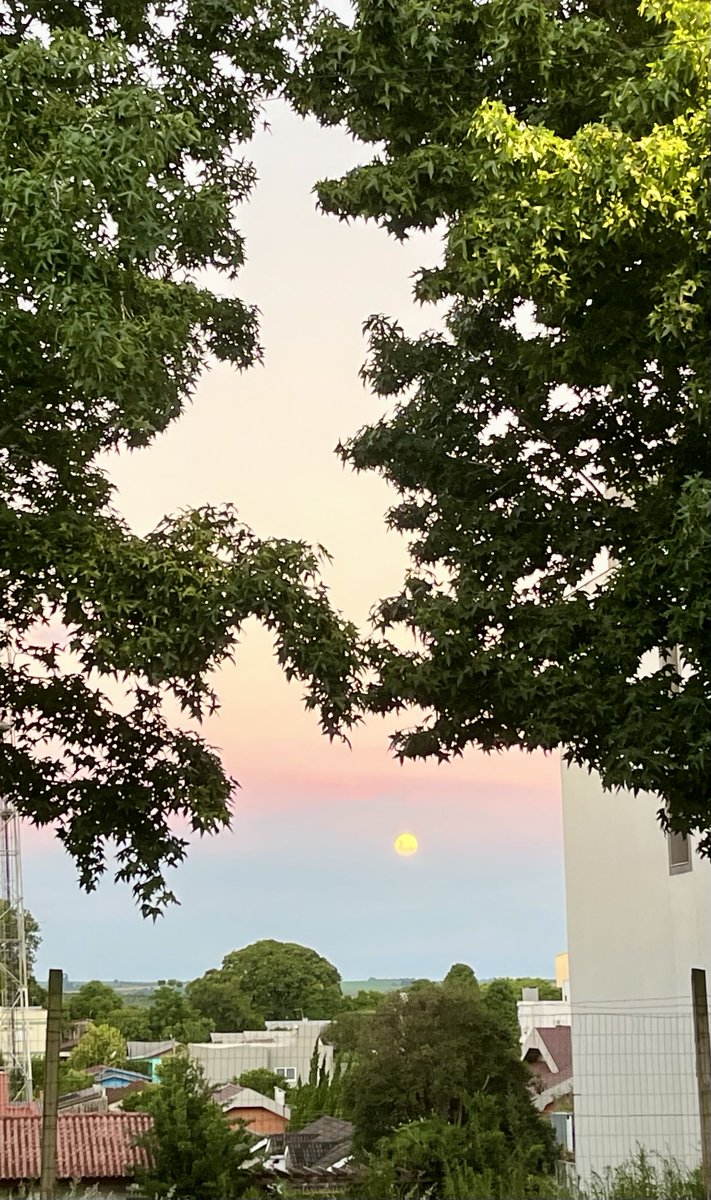 _teeago's tweet image. 