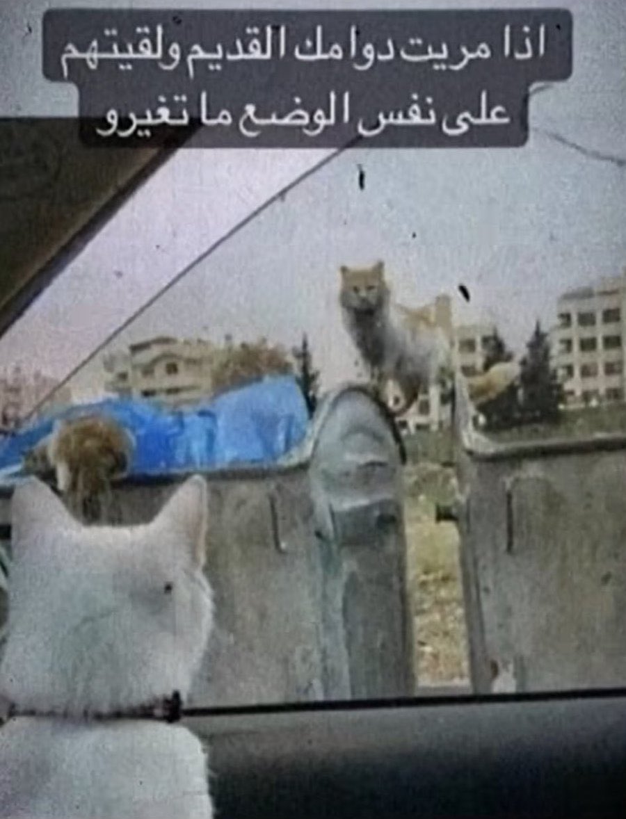 Hatksh's tweet image. 