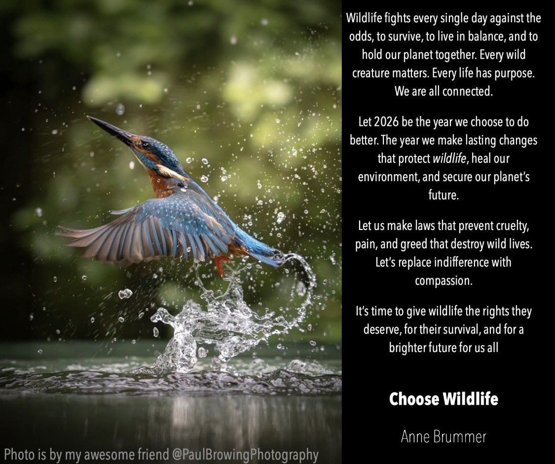 Brian May's Save Me Trust tweet media