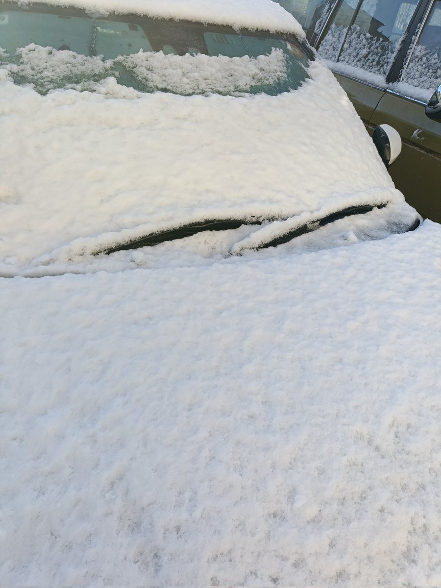 雪、舐めてた。 出れない