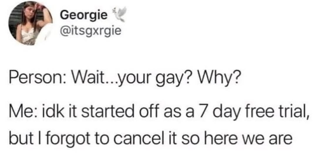 Ashley Reed tweet media