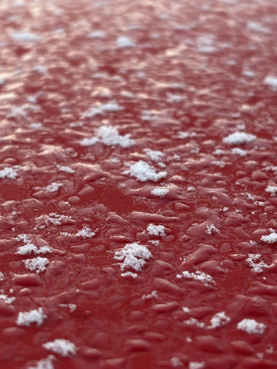 Al2o3_pinkruby's tweet image. お正月3日目の朝んぽ
あちこちで雪の便り
どうやらこの辺りも少し
降ったようで📮の頭残っています