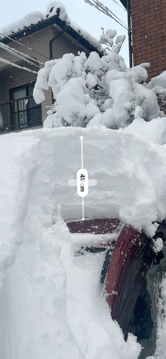 ゆきやん　再出品 ｮ'ω'〃)おはようございます♪ 今朝の体重は－400g おでんなのに減った