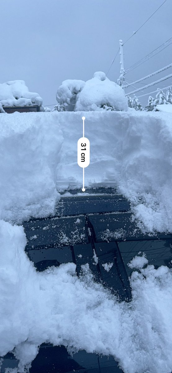 ｮ'ω'〃)おはようございます♪ 今朝の体重は－400g おでんなのに減った