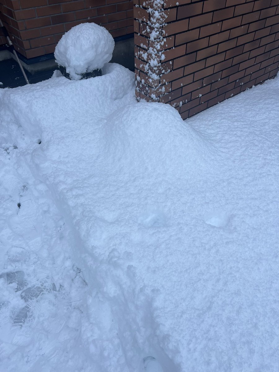 ｮ'ω'〃)おはようございます♪ 今朝の体重は－400g おでんなのに減った