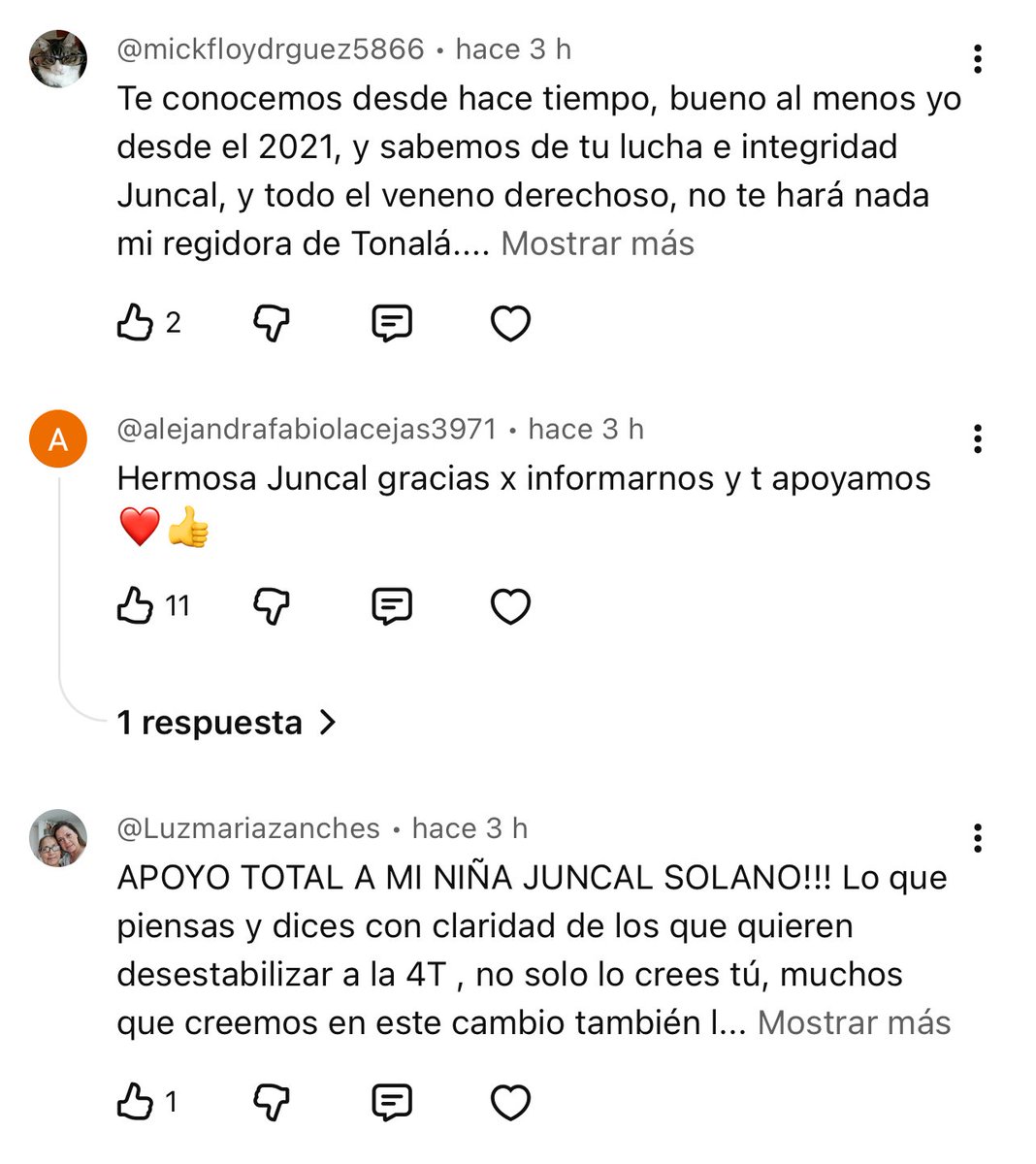 Agradezco el apoyo recibido a largo de estos días de colegas, amigos  youtubers y seguidores; después de que algunos medios que semanas  anteriores quedaron evidenciados al ser financiados en la marcha X,