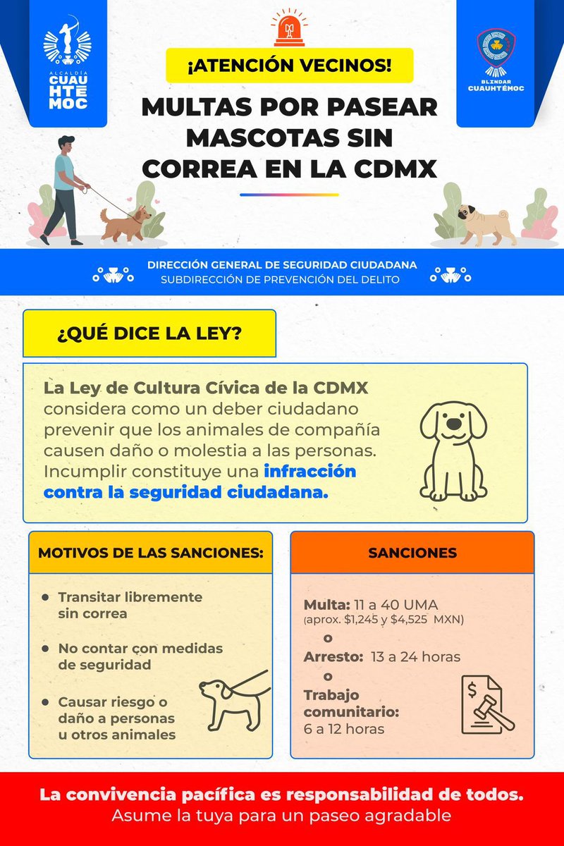 <a href="/LaColoniaJuarez/">La Colonia Juárez</a> <a href="/VecinosSurRoma/">VecinosRomaSur</a> <a href="/ImagenTVMex/">Imagen Televisión</a> <a href="/SoyRaulFlores/">Raúl Flores Martínez</a> <a href="/GobCDMX/">Gobierno de la Ciudad de México</a> <a href="/AlcCuauhtemocMx/">Alcaldía Cuauhtémoc</a>