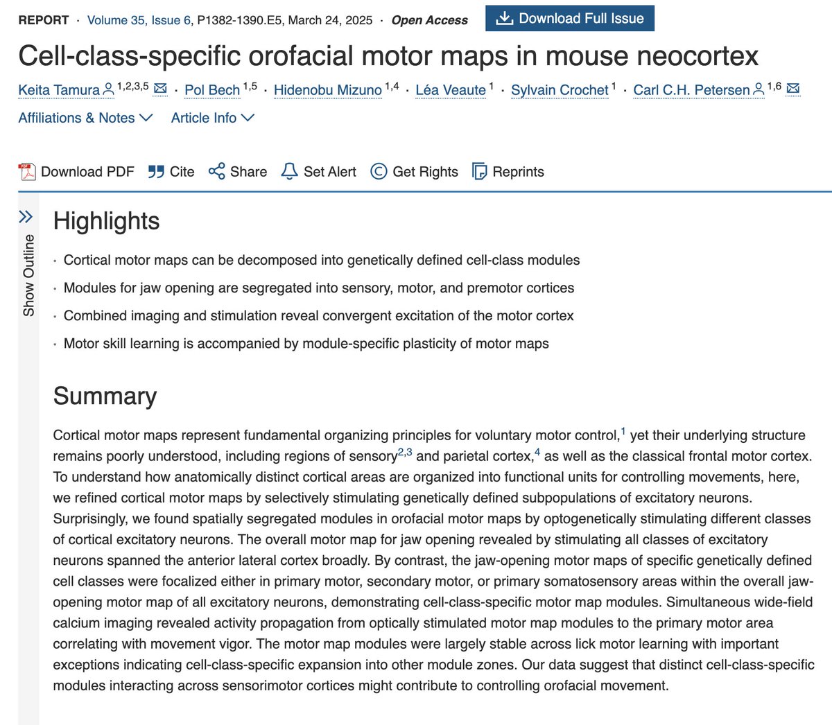 Durante décadas pensamos que la corteza motora funcionaba en “columnas” verticales. Ordenadas. Limpias. Elegantes... Pues no.

Un nuevo estudio muestra que el movimiento no se organiza así, sino en módulos distribuidos horizontalmente, formados por neuronas especializadas que