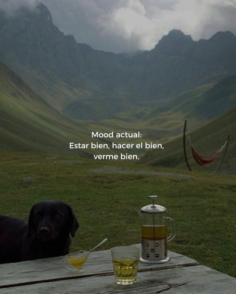 vibesfyp's tweet image. 