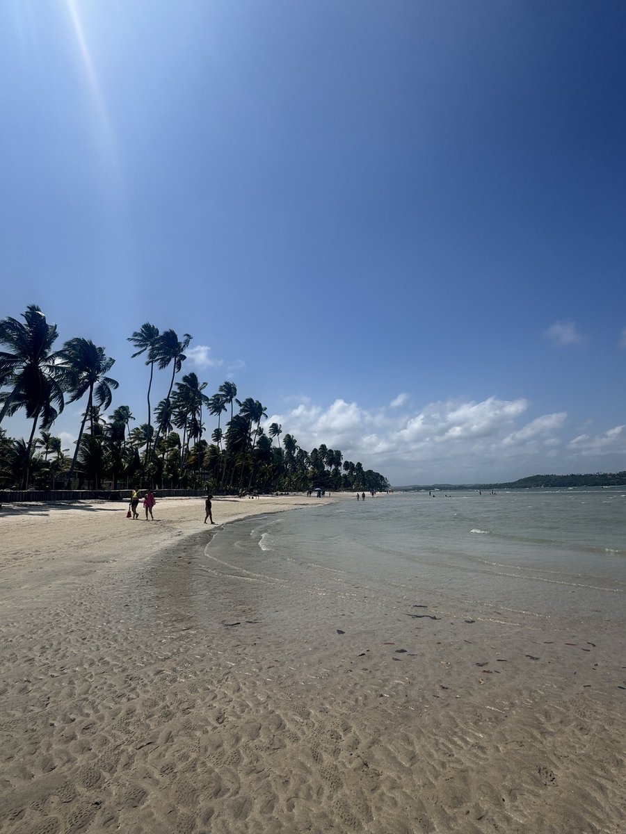 Anelize | canal Profa Anelize tweet media