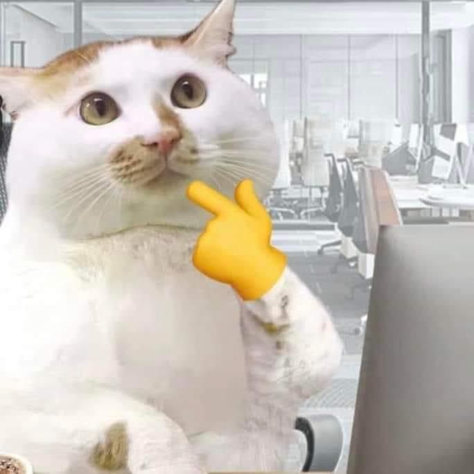 where's505? tweet media