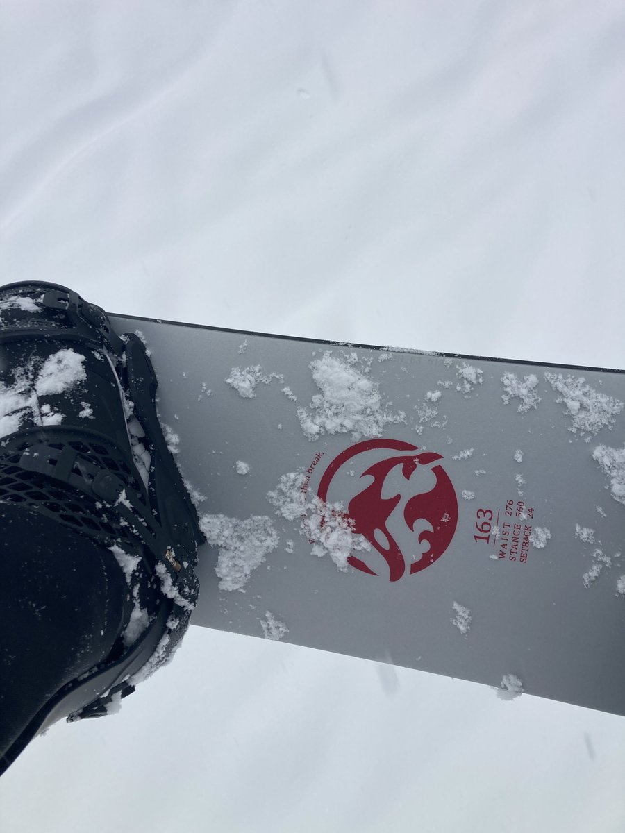 野ウサギ (@wiLdrabbit777) / Posts / X