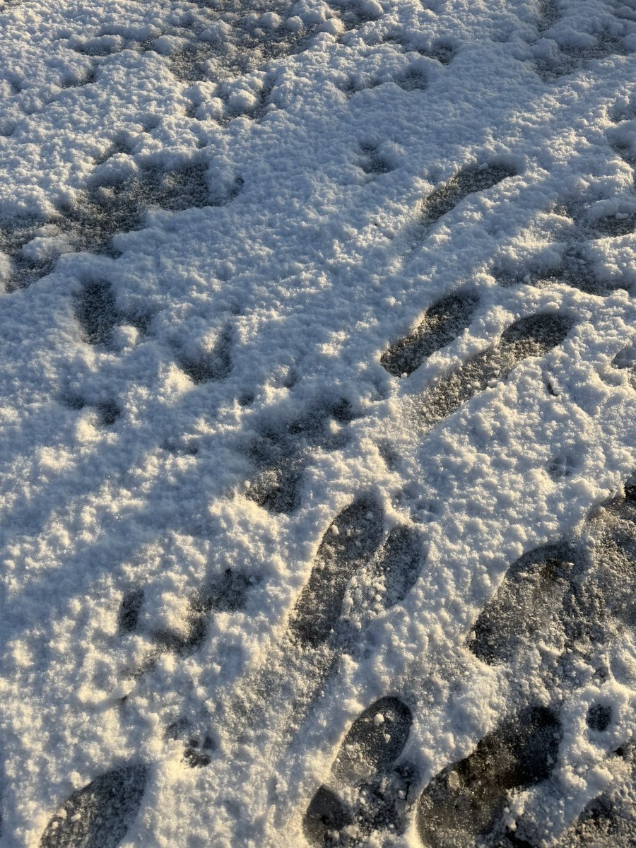 こりたゃは下位互換💎🩵 tweet media