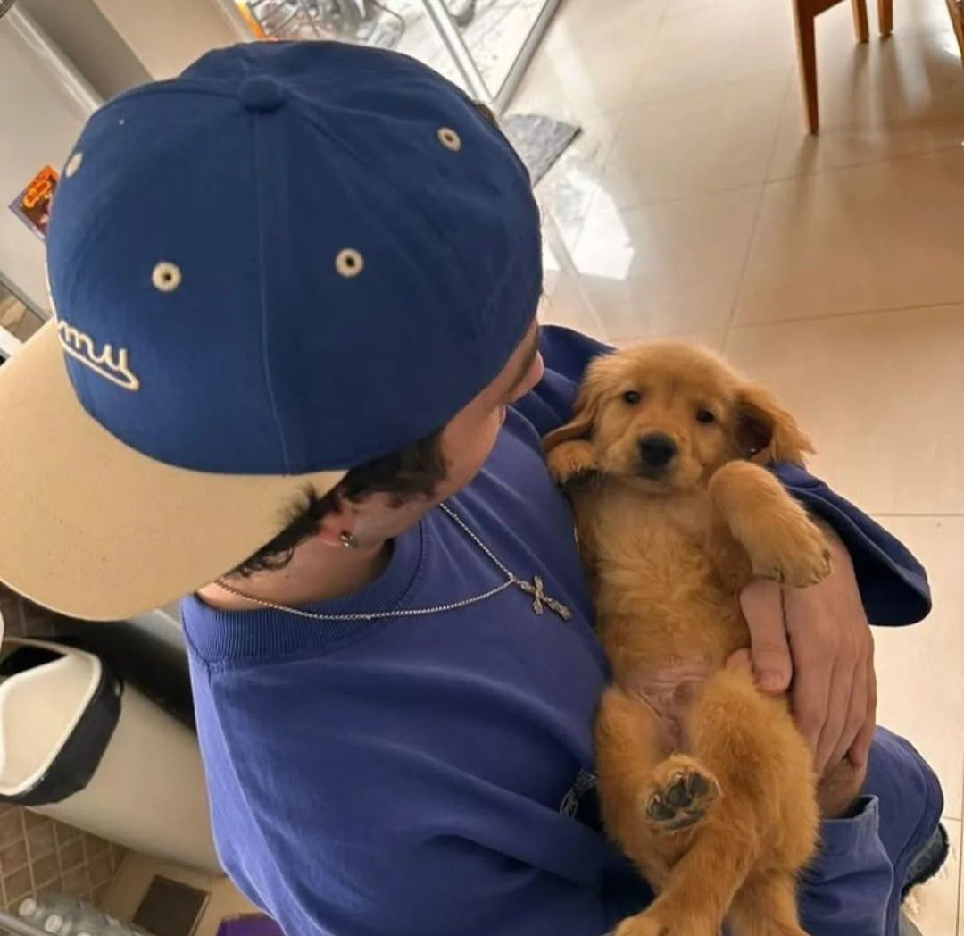 nicolee🔸 tweet media