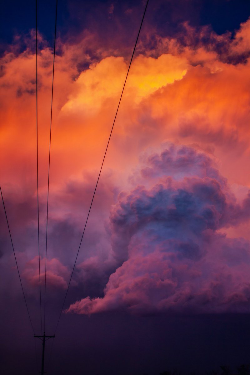 Sarah 📸 tweet media