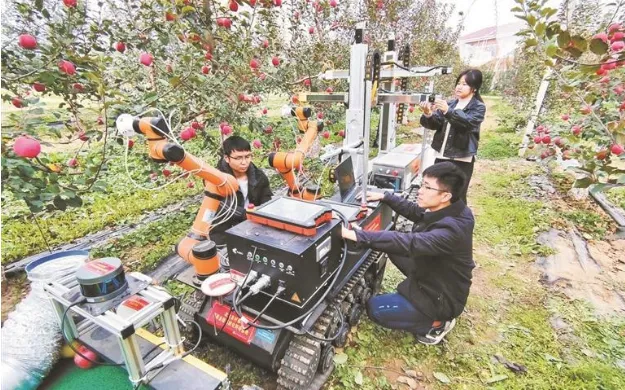 Seed Vision Yangling (@SeedYangling) / Posts / X