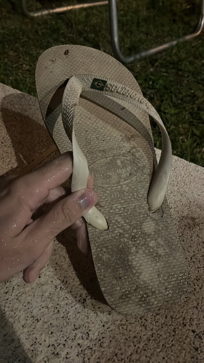 Colheitinha de hj na praia #cleptotwt #clptwt