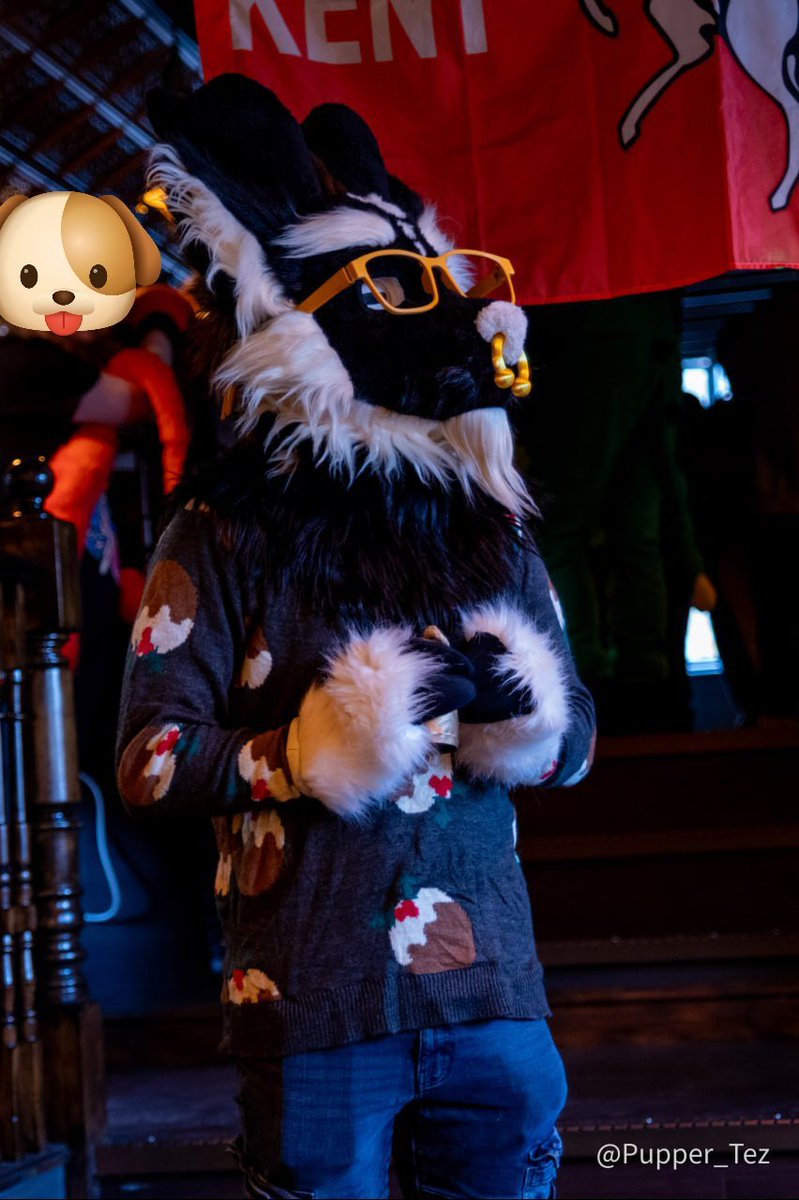 Toughfey's tweet photo. jingle bellend

photography by @ pupper-tez on blue butterfly app

#FursuitFriday https://t.co/OONwyakOUh