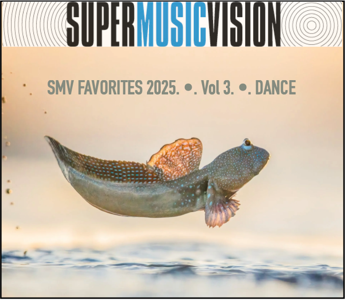 SuperMusicVision tweet media