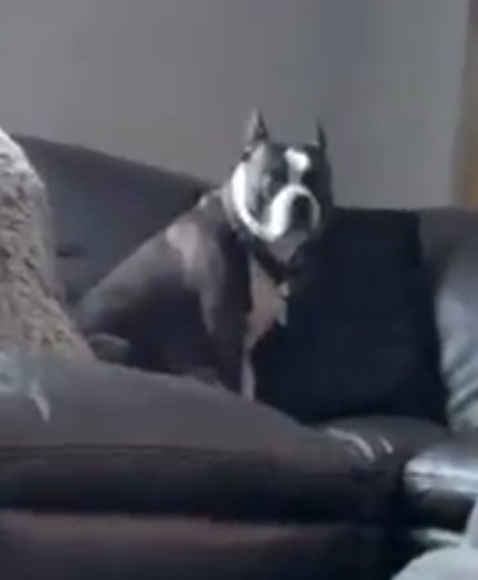 Gamer1🎮🕹 tweet media