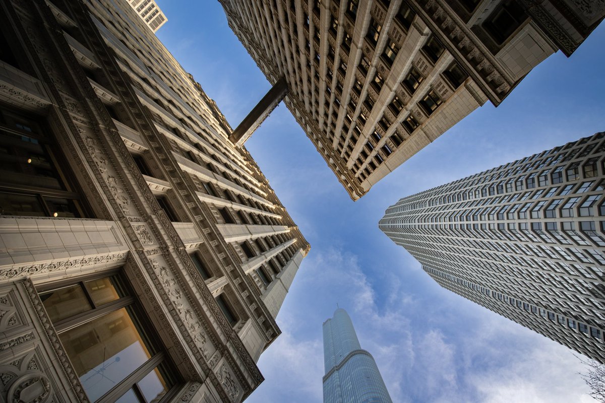 𝐿𝒾𝓈𝒶 𝐵𝑜𝓌𝓂𝒶𝓃 tweet media