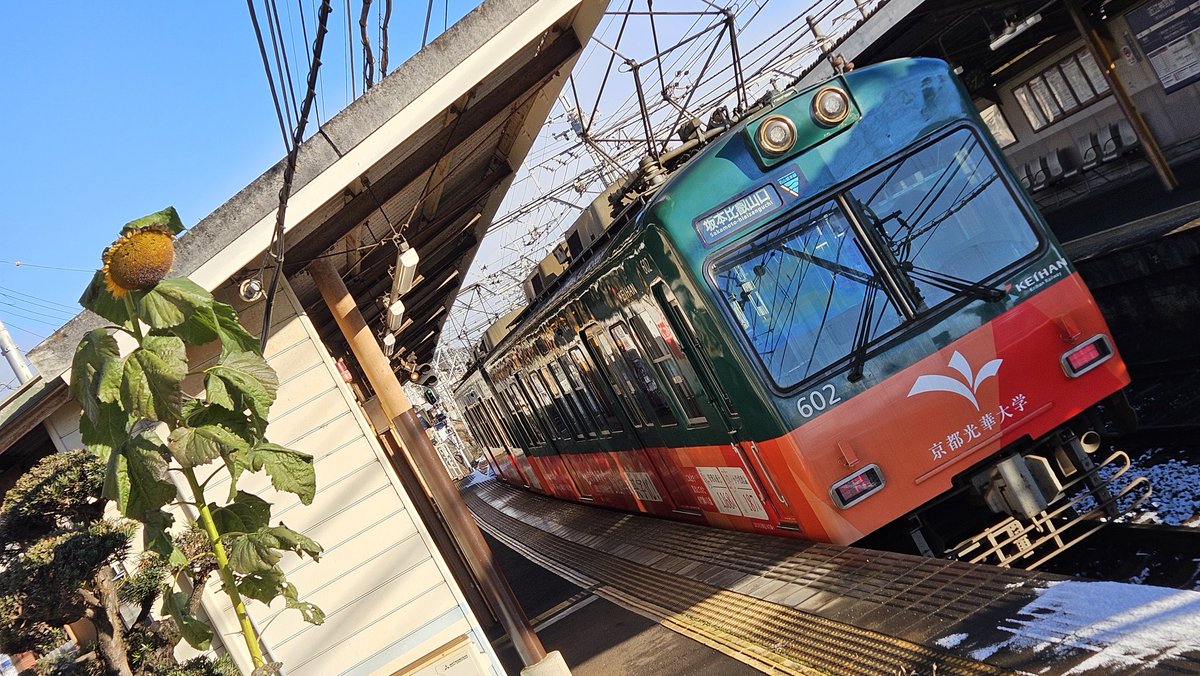 るぅ。 ふるりちゃんねる 03 ｜ Z/X - Zillions of enemy X - ゼクス公式サイト