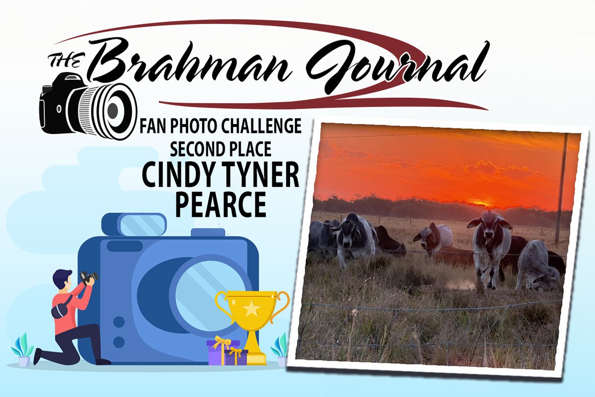 The Brahman Journal tweet media