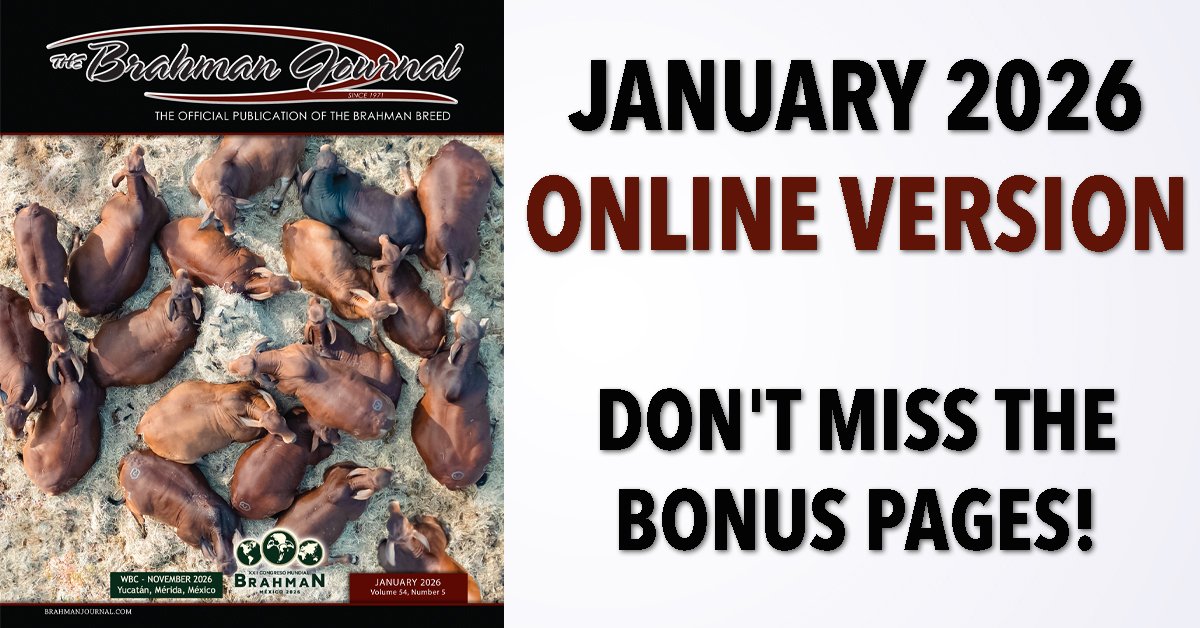 The Brahman Journal tweet media