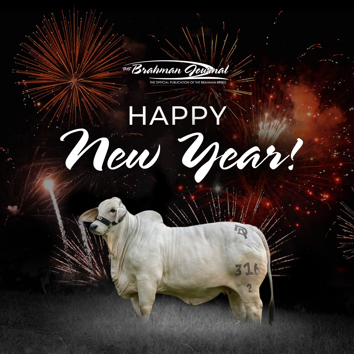 The Brahman Journal tweet media