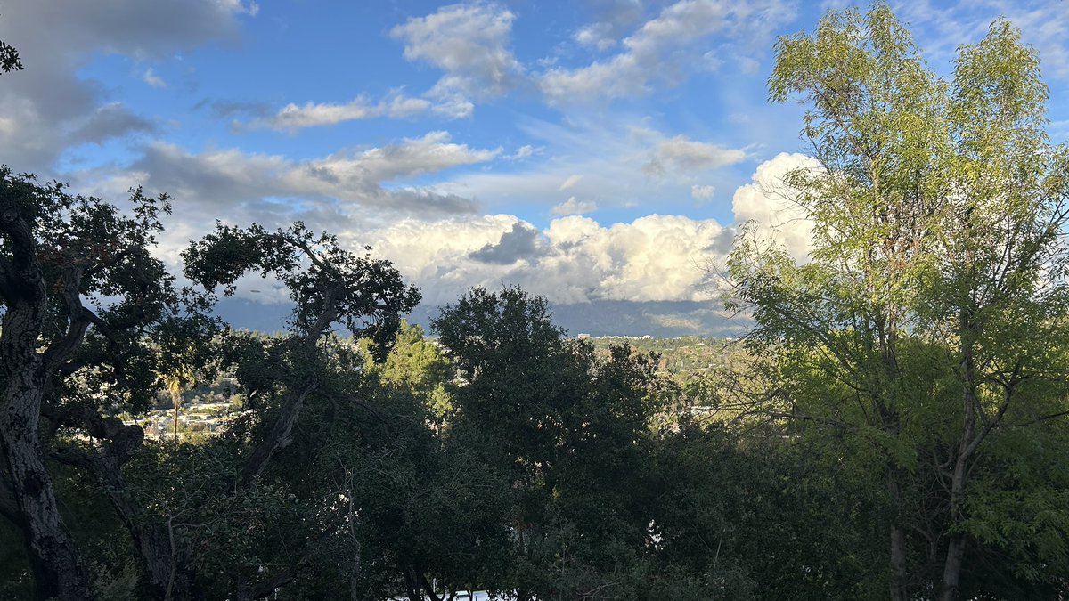MullenMaps's tweet photo. my corner of the SGV https://t.co/6hmuUrfwBg