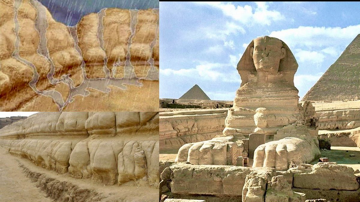 Jimmy Corsetti tweet media