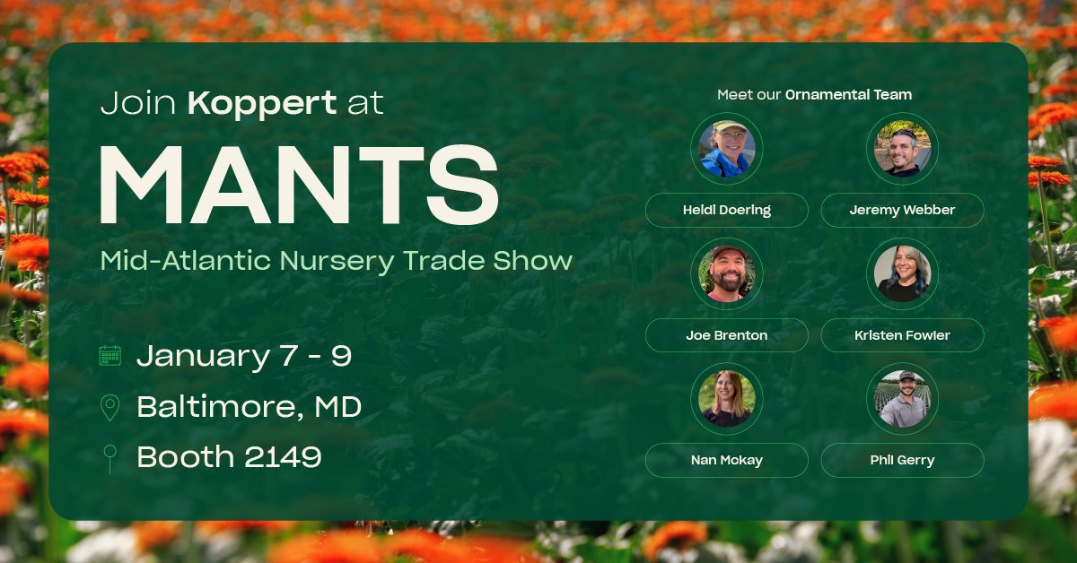 Koppert US tweet media