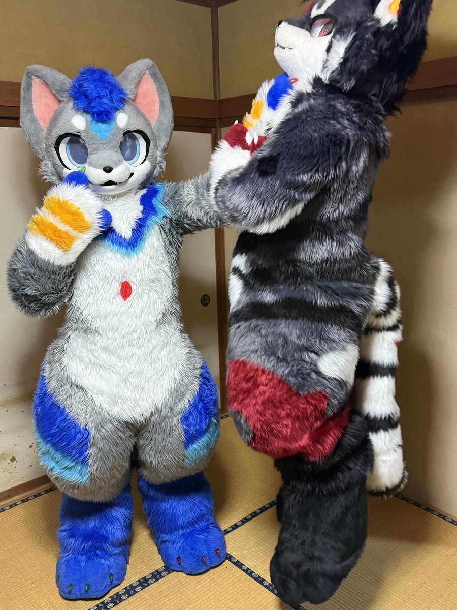 やきたん (@yakitanto1496) / Posts / X