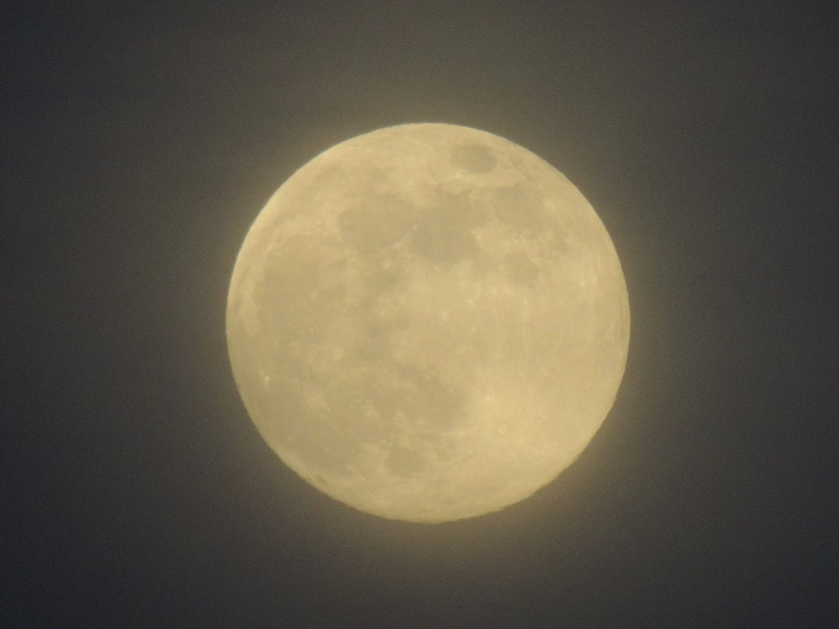 The Full Wolf Moon in Staunton Illinois tonight <a href="/SteveTempleton/">Steve Templeton</a> <a href="/scottontvKSDK/">Scott Connell on KSDK</a> <a href="/fox2ch/">Chris Higgins</a> <a href="/MattBednarWX/">Matt Bednar</a> <a href="/DarrenLeedsWx/">Meteorologist Darren Leeds</a> <a href="/jacobdickeywx/">Jacob Dickey, WCIA 3 News</a> <a href="/spann/">James Spann</a> #FullMoon #ilwx