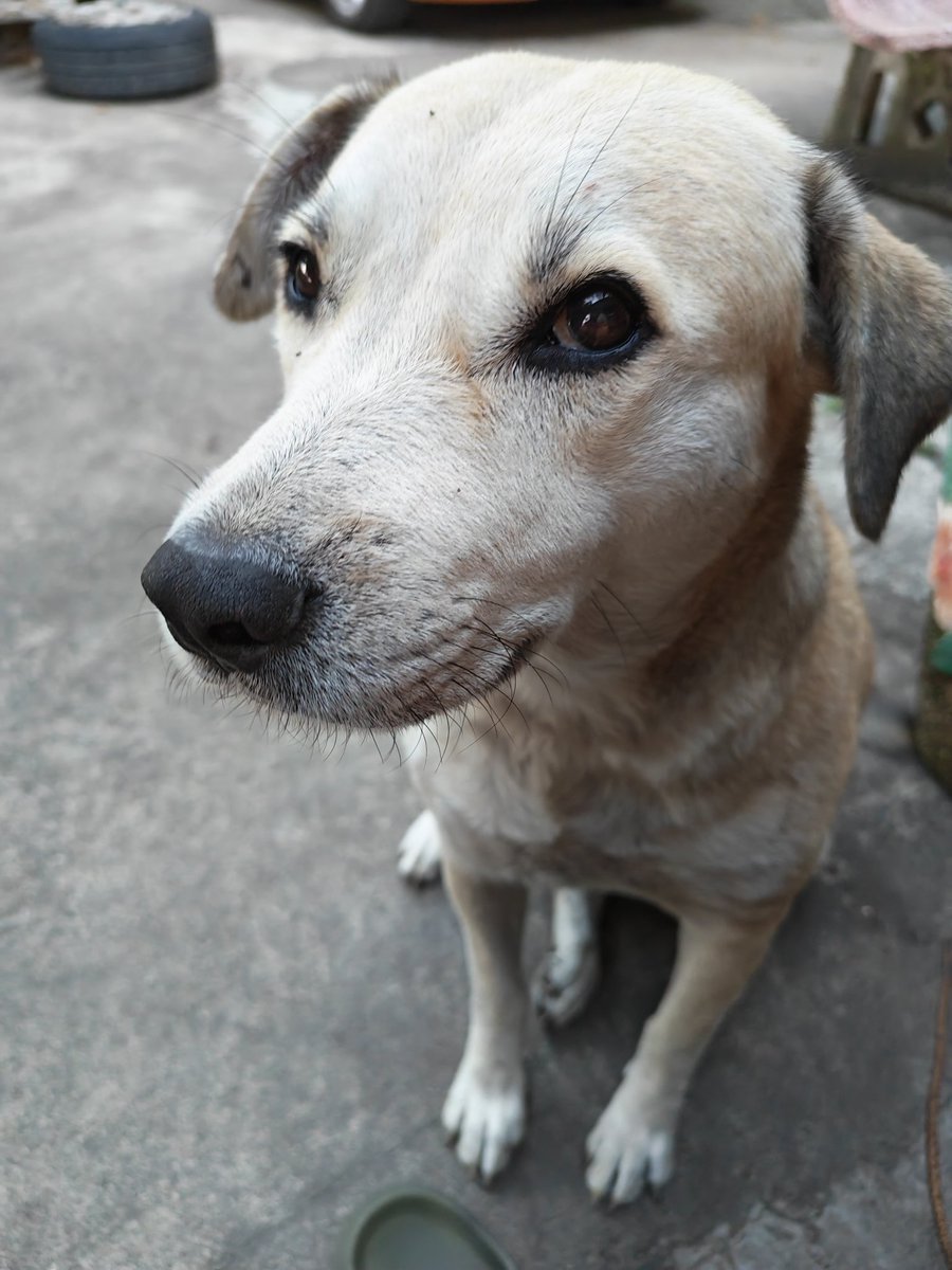 สวัสดีปีใหม่จากสามพราน