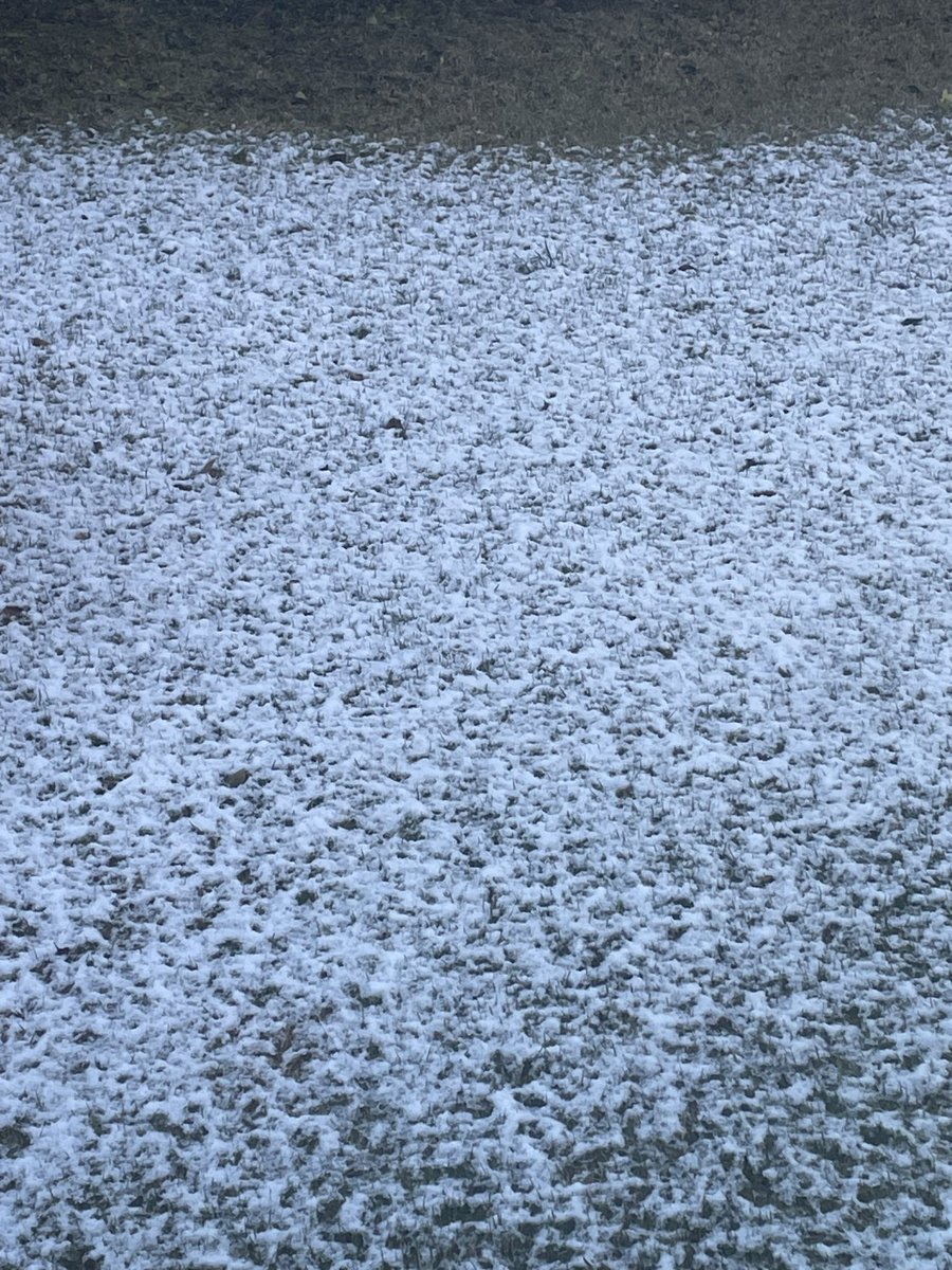 tamuaki4211's tweet image. 今朝はきな粉餅とおせちの残りと金谷ホテルのコーヒーで☕️箱根駅伝🎽を観ながら。
朝起きたら雪❄️少しだけ。
昨日は娘夫婦がおせち食べに来て準備は大変だったけど楽しい時間でした。
なんだか私の若い頃の指輪💍いくつか選別して持って帰っちゃったなー🤔😂ま、私の指に入らなくなっちゃったからな。