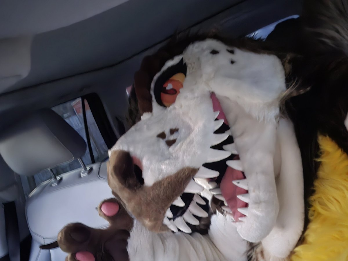 OTW to Furry Gaming this #FursuitFriday!!