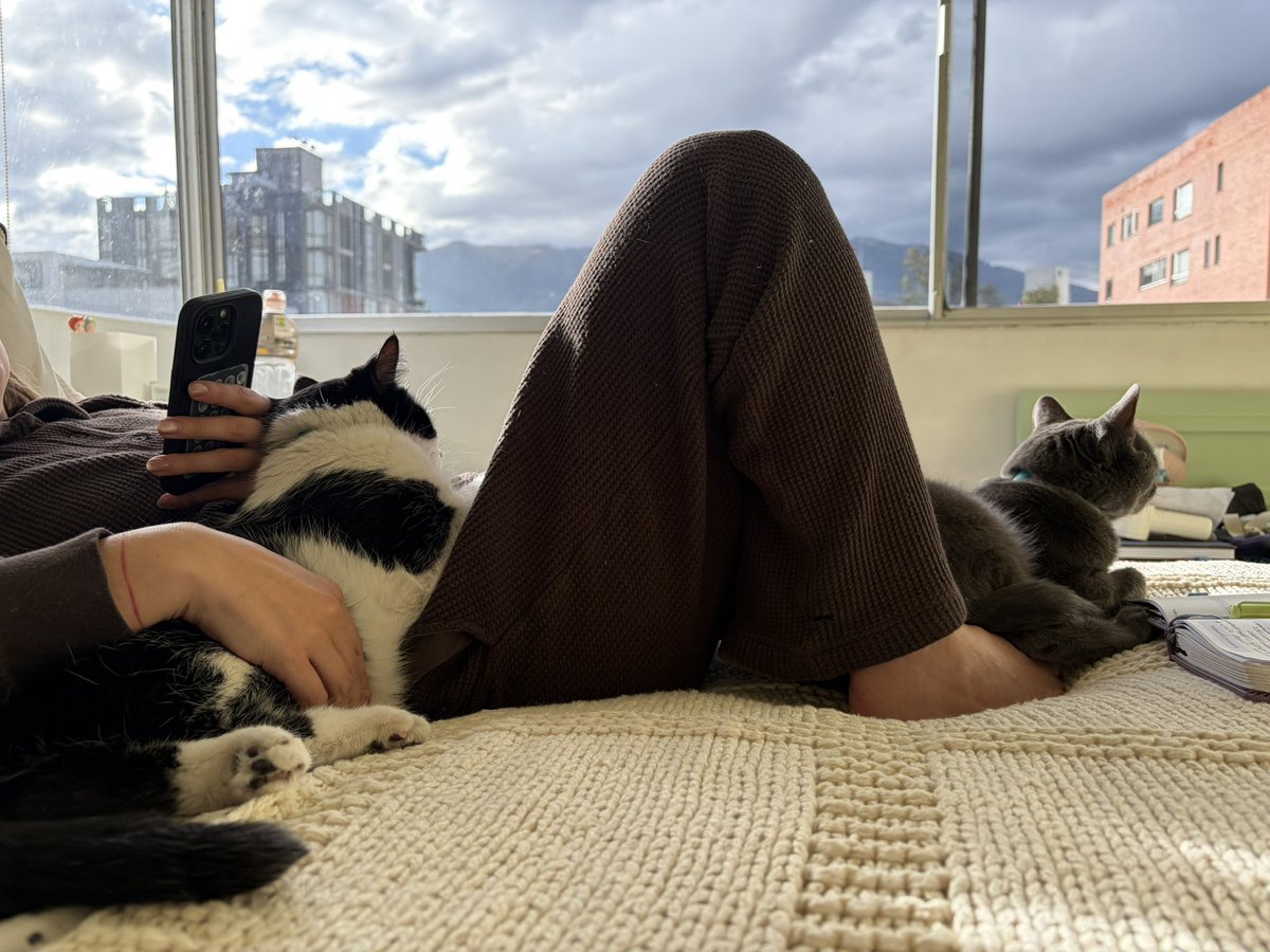 domestication tweet media