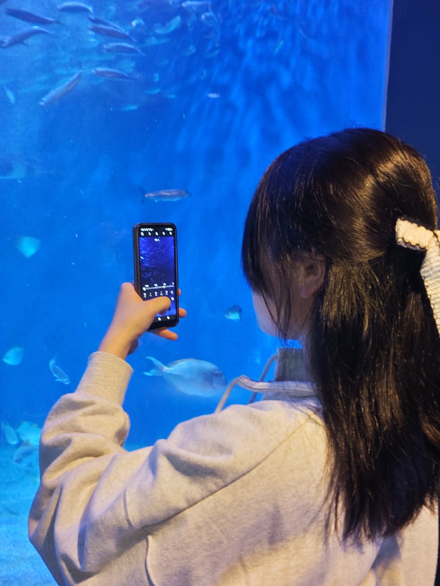 明けましておめでとうございます。
2026年もあゆの挑戦を見守り・応援していただけると嬉しいです❤︎
どうぞよろしくお願いいたします(⋆ᴗ͈ˬᴗ͈)”
今年最初のお出かけはこちら⬇️
 #マクセルアクアパーク品川  #年始のお楽しみ  #ayu