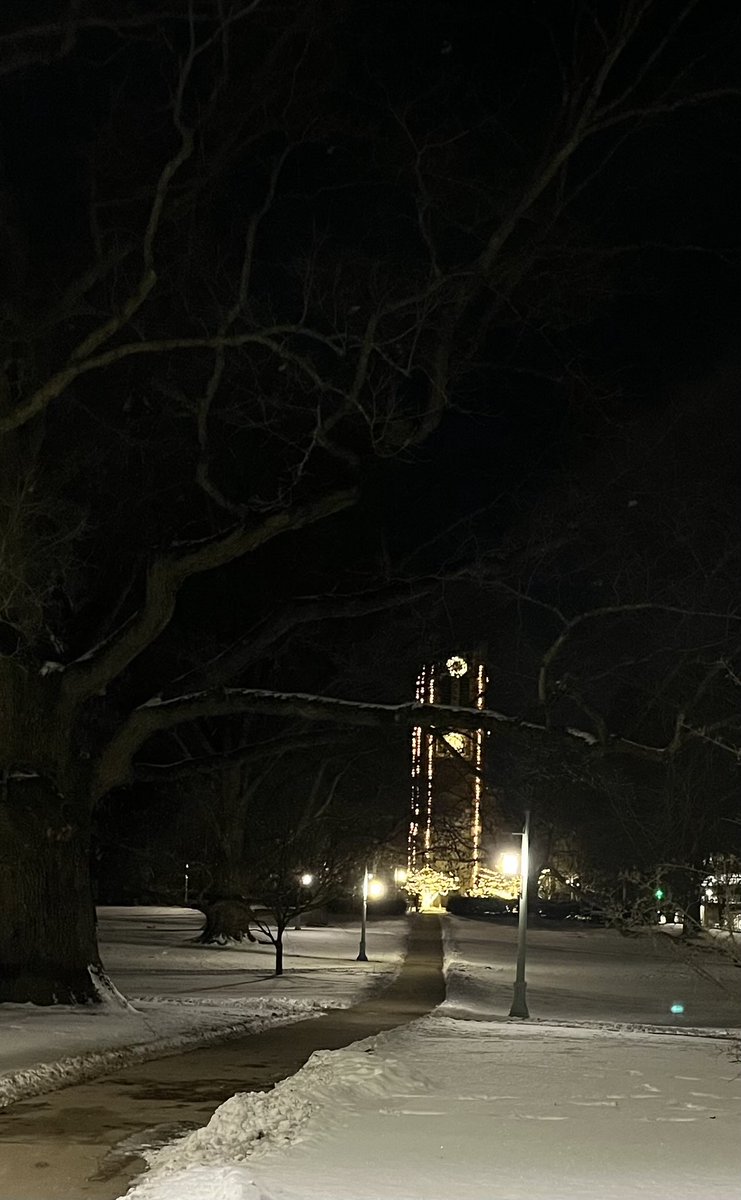 Paulette Martis tweet media