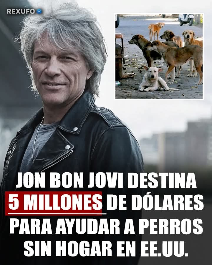 LORE TIN (@todopormiperro) on Twitter photo 