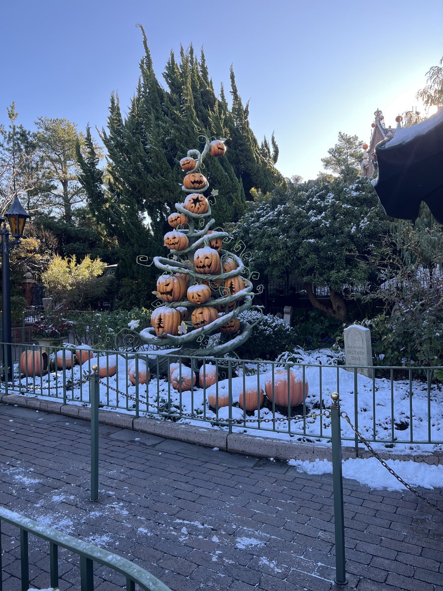 🌋🐿ディズニー大好きマニア🐭🏰 (@dis_0524) / Posts / X