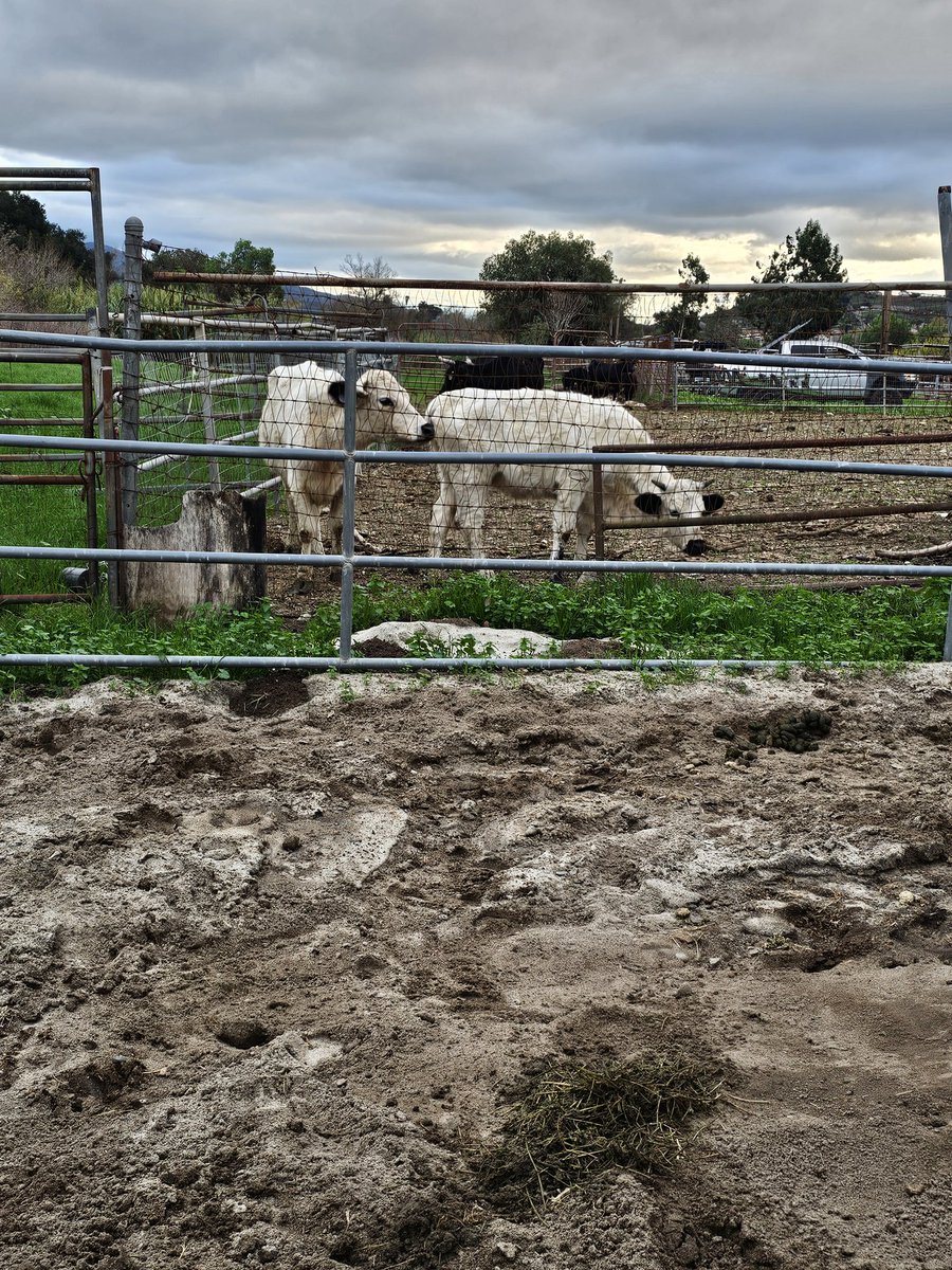 How incredibly lucky I am to live this life.